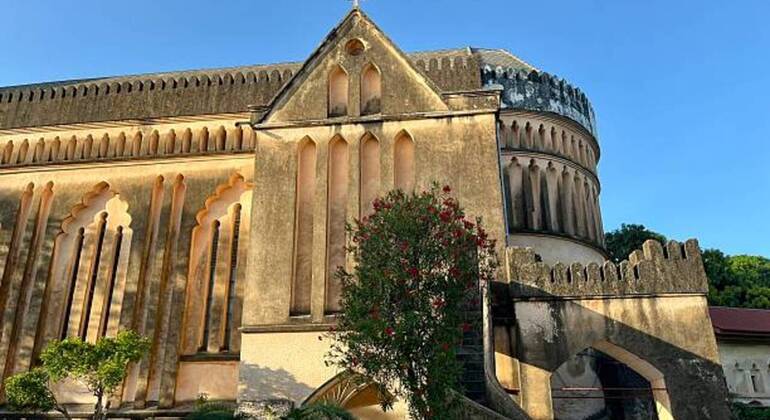 Prison Island & Stone Town Tour: Giant Tortoises, History & Culture Tanzania &mdash; #11