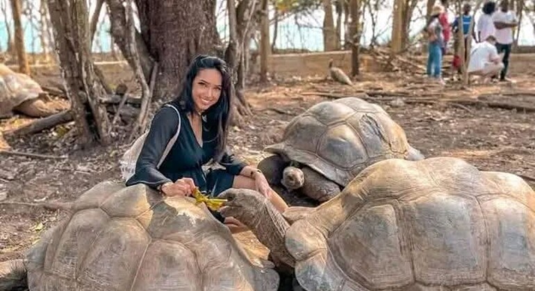 Prison Island & Stone Town Tour: Giant Tortoises, History & Culture Tanzania &mdash; #20