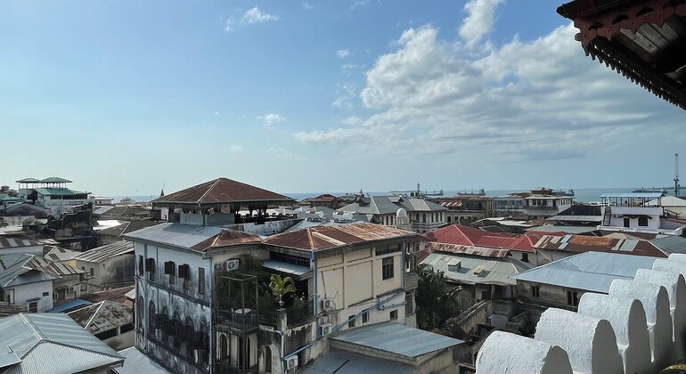 Prison Island & Stone Town Tour: Giant Tortoises, History & Culture Tanzania &mdash; #22