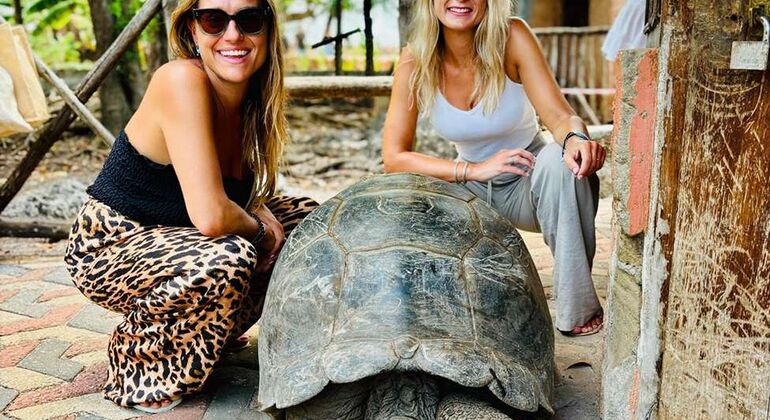 Prison Island & Stone Town Tour: Giant Tortoises, History & Culture Tanzania &mdash; #23