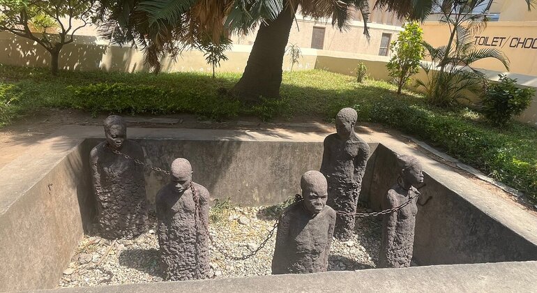 Prison Island & Stone Town Tour: Giant Tortoises, History & Culture Tanzania &mdash; #37