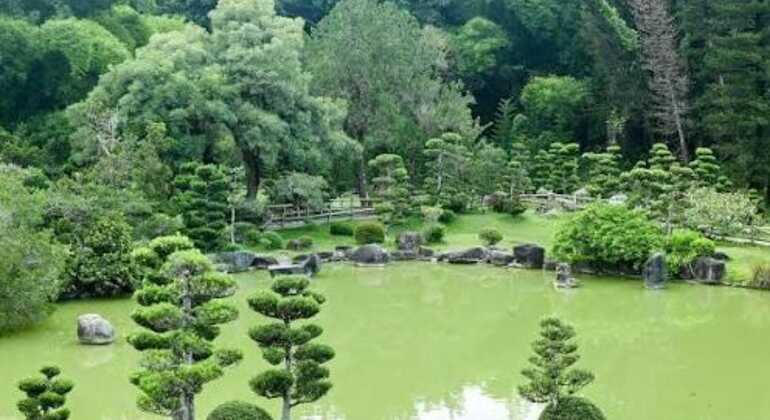 Santo Domingo: Escursione ecoturistica di un'intera giornata Repubblica Dominicana &mdash; #7