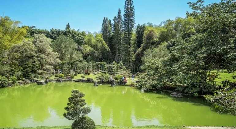 Santo Domingo: Escursione ecoturistica di un'intera giornata Repubblica Dominicana &mdash; #8