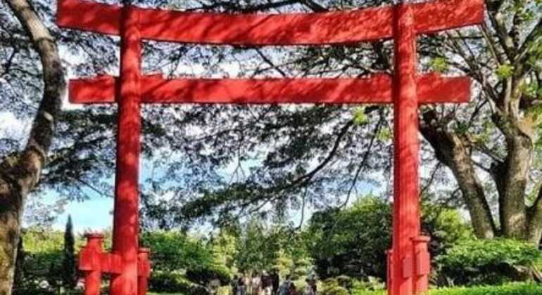 Santo Domingo: Escursione ecoturistica di un'intera giornata Repubblica Dominicana &mdash; #9