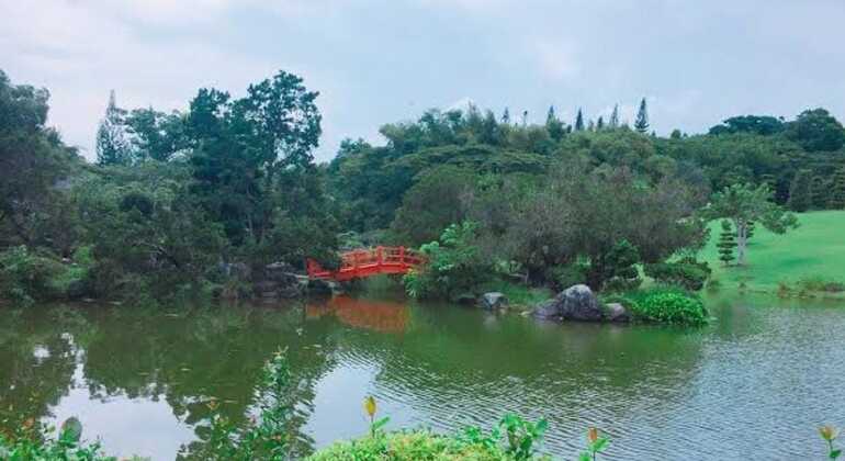 Santo Domingo: Escursione ecoturistica di un'intera giornata Repubblica Dominicana &mdash; #10