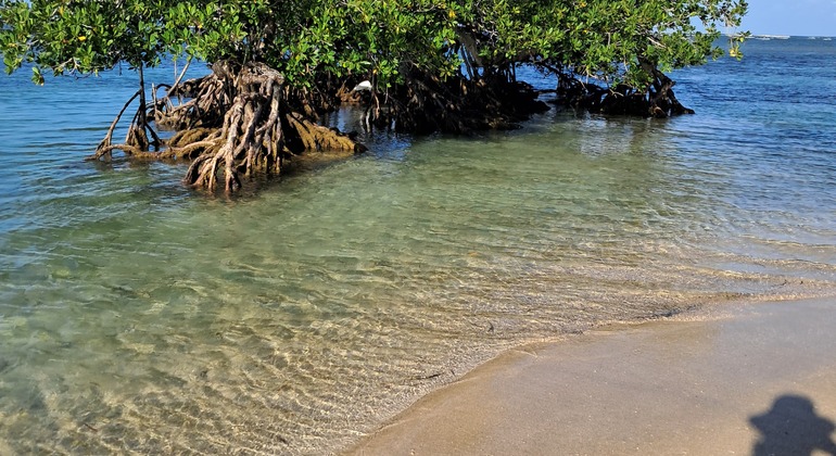 samana-tour-cayo-levantado-and-las-terrenas-es-4
