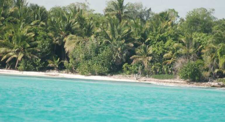 Tour VIP dell'Isola di Saona Repubblica Dominicana &mdash; #13