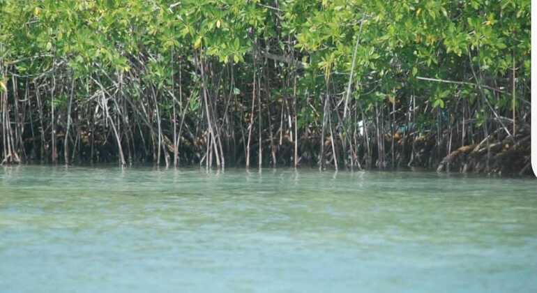 Tour VIP dell'Isola di Saona Repubblica Dominicana &mdash; #14