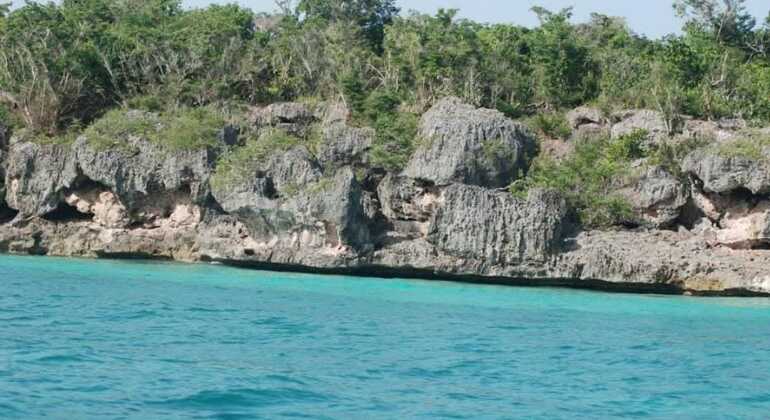 Tour VIP dell'Isola di Saona Repubblica Dominicana &mdash; #15