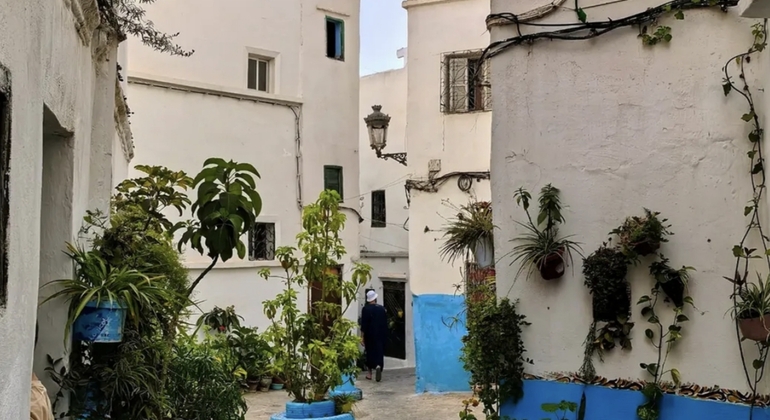White City Free Tour: Afternoon & Evening Walking Tour Morocco &mdash; #8