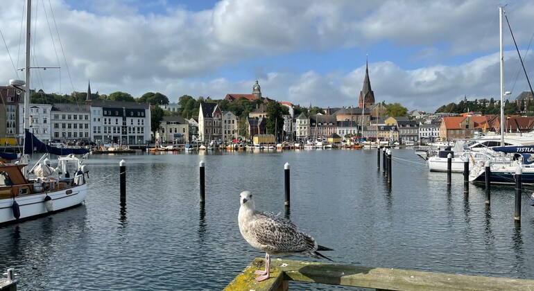 Free Tour of Flensburg: Germany's Danish City 