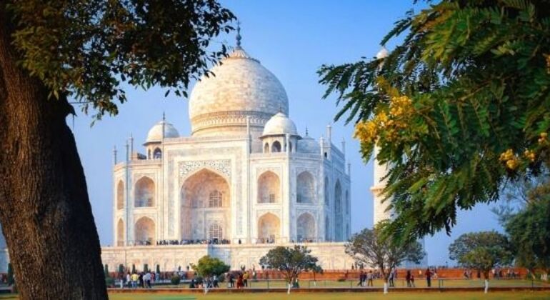 Excursion en voiture au Taj Mahal pour admirer le lever du soleil, au départ de Delhi Inde &mdash; #3
