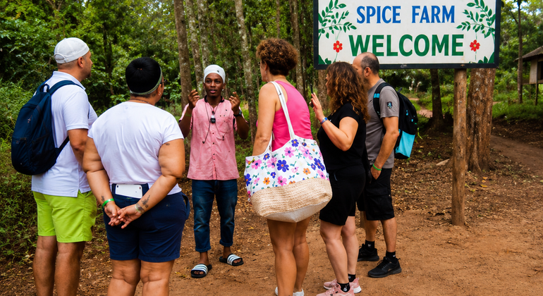 Visita à Quinta das Especiarias de Zanzibar: Sabores Autênticos da Ilha Organizado por Zanzibar Spice Farm Tour: Authentic Island Flavors