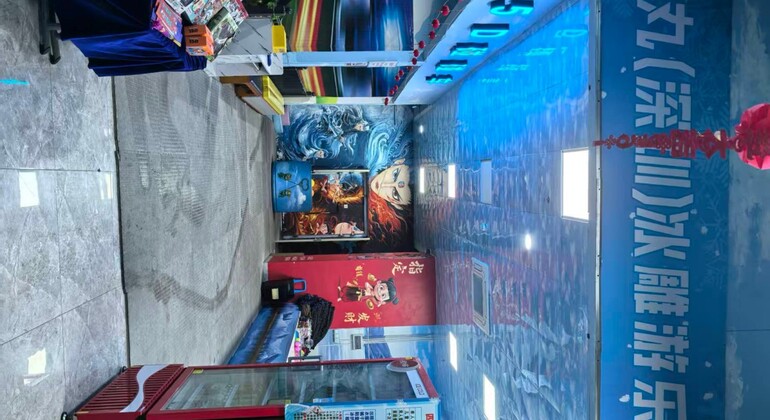 Shenzhen: Entrada al Parque de Esculturas de Hielo de Mowan