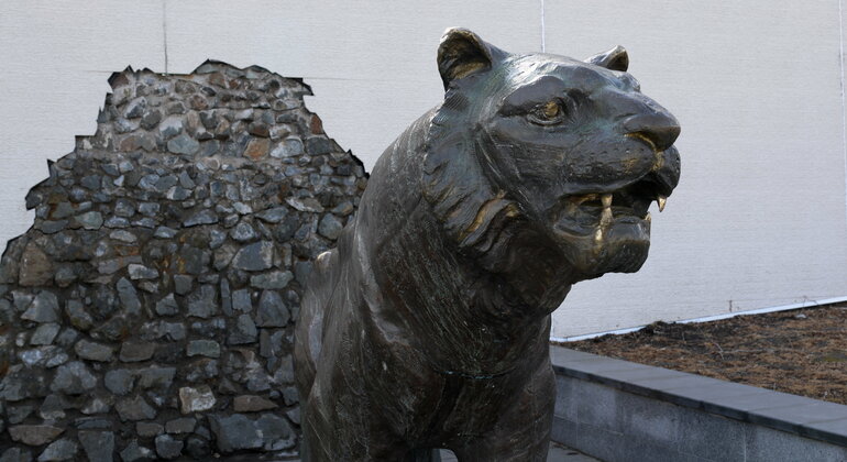 Wladiwostok-Tiger: Bus-Walking-Tour Bereitgestellt von Tourist Information Centre of Primorsky Territory