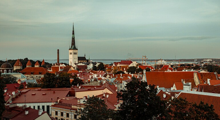 Tallinn Free Walking Tour by Traveller Tours Estonia &mdash; #2