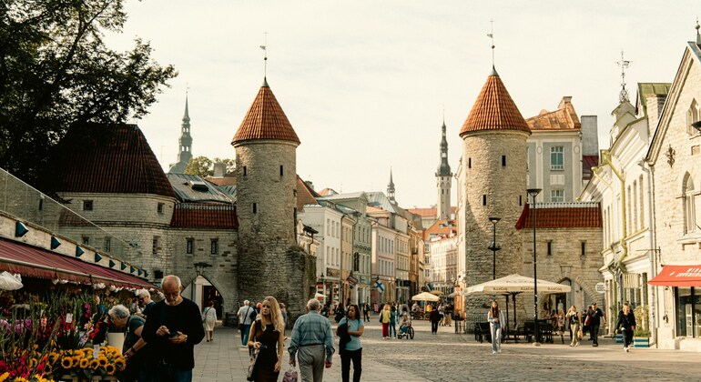 Tallinn Free Walking Tour by Traveller Tours Provided by Traveller Tours