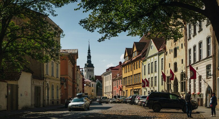 Tallinn Free Walking Tour by Traveller Tours Estonia &mdash; #3