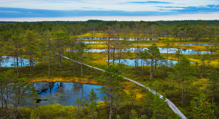 Lahemaa National Park Day Trip from Tallinn Provided by Traveller Tours