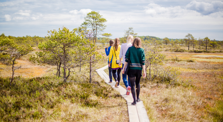 Lahemaa National Park Day Trip from Tallinn Estonia &mdash; #6