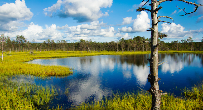 Lahemaa National Park Day Trip from Tallinn Estonia &mdash; #7