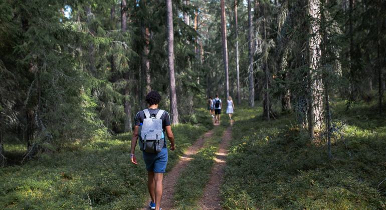 Lahemaa National Park Day Trip from Tallinn Estonia &mdash; #9