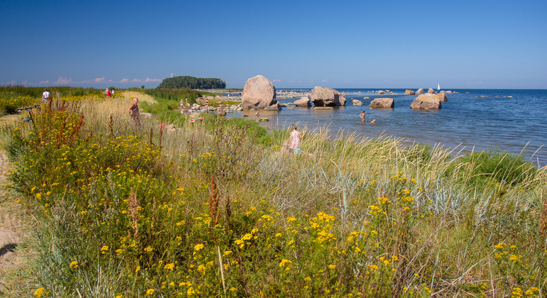 Lahemaa National Park Day Trip from Tallinn Estonia &mdash; #10