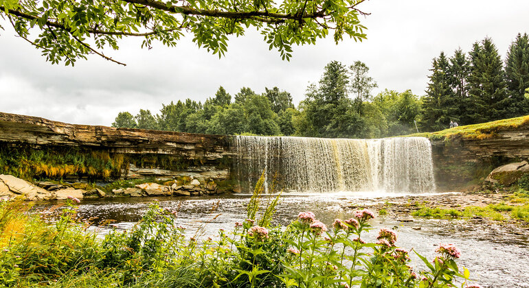 Lahemaa National Park Day Trip from Tallinn Estonia &mdash; #13