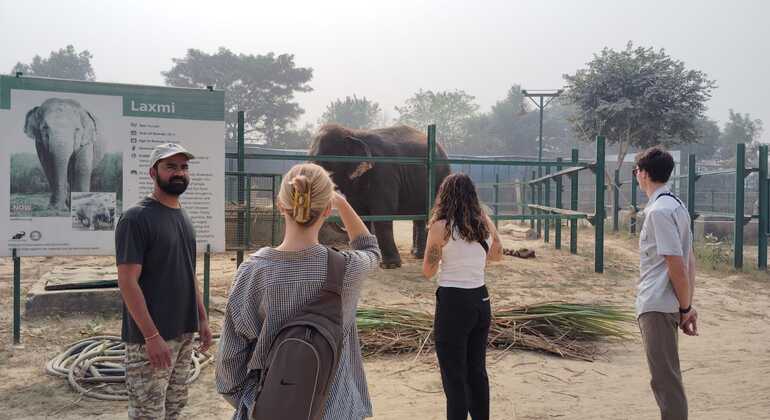 Ganztägige Tour in Agra: Elefantenschutz und Bärenrettung  Indien &mdash; #10