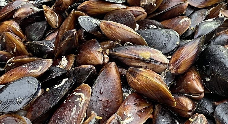 Bosporus-Gastronomietour: Asien und Europa Türkei &mdash; #11