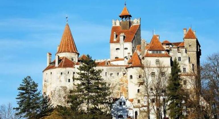 Castillo de Drácula & la Iglesia Amurallada Prejmer Tour Rumania &mdash; #5