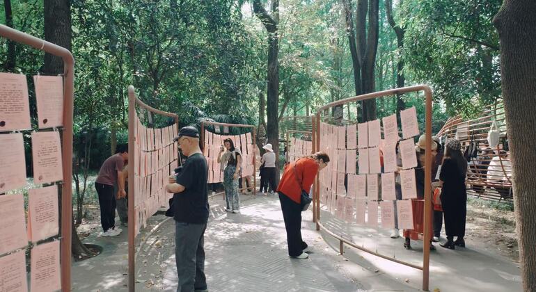Kostenlose Stadtführung durch Chengdu: Entdecken Sie das historische Herz und die Seele der Stadt China &mdash; #11