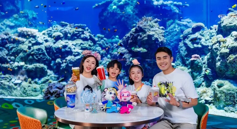 zhuhai-hengqin-chimelong-show-global-circus-ticket-en-2