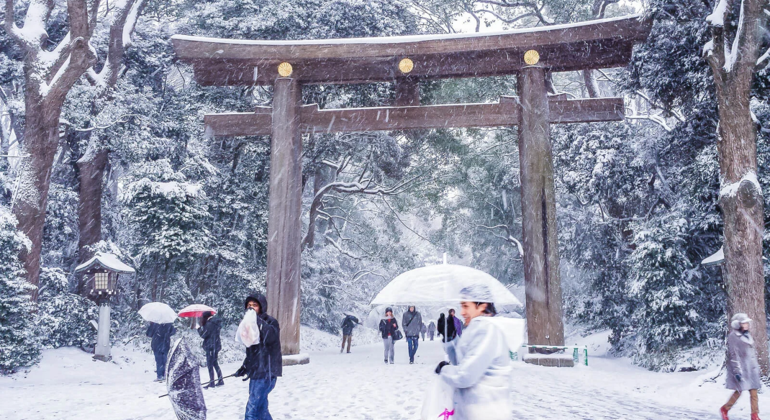 Recorrido por lo más destacado de Tokio: cultura tradicional, iconos modernos y joyas locales