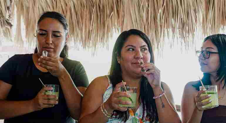 Paseo por el centro de Cozumel: Experiencia en una destilería de ron y ginebra México &mdash; #13