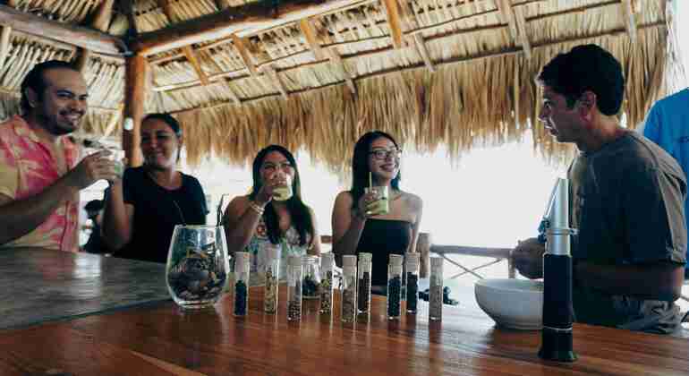 Paseo por el centro de Cozumel: Experiencia en una destilería de ron y ginebra México &mdash; #14