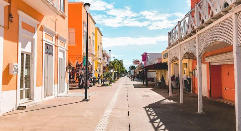 Paseo por el centro de Cozumel: Experiencia en una destilería de ron y ginebra México &mdash; #20