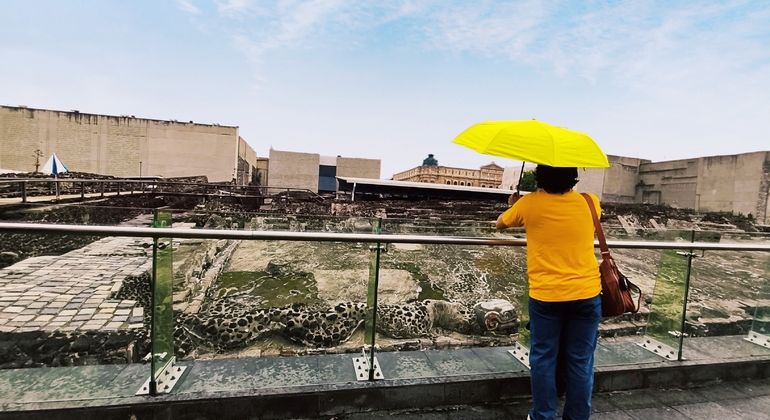 Mexico City Free Tour: Historia, Arte & Anécdotas México &mdash; #5