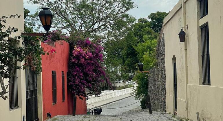Colonia Essential Free Tour Uruguay &mdash; #2