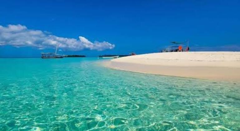 Prison Island e Nakupenda: snorkeling, tartarughe giganti e barbecue