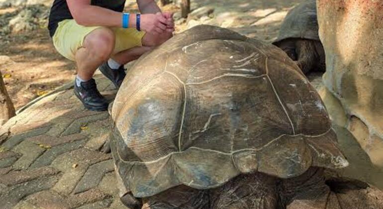 Prison Island & Nakupenda : Snorkeling, Tortues Géantes & BBQ Tanzanie &mdash; #5