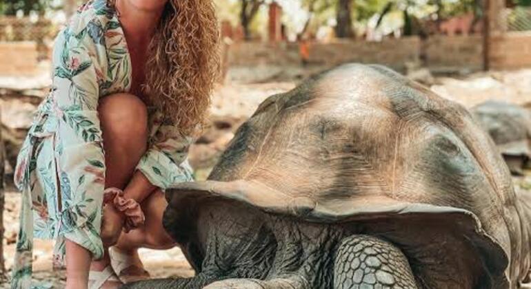 Prison Island & Nakupenda : Snorkeling, Tortues Géantes & BBQ Tanzanie &mdash; #6