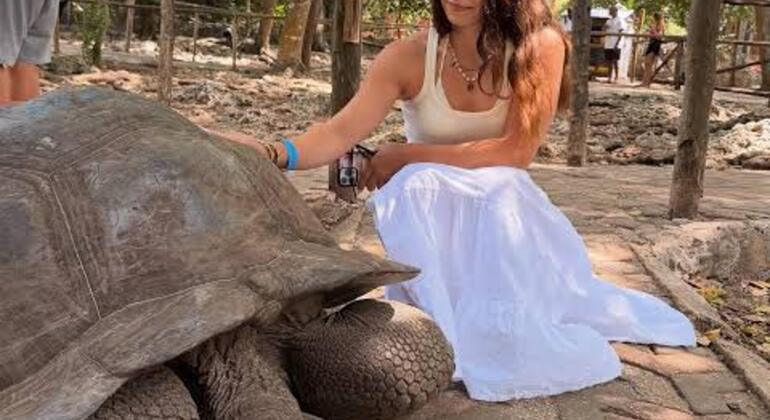 Prison Island & Nakupenda : Snorkeling, Tortues Géantes & BBQ Tanzanie &mdash; #8
