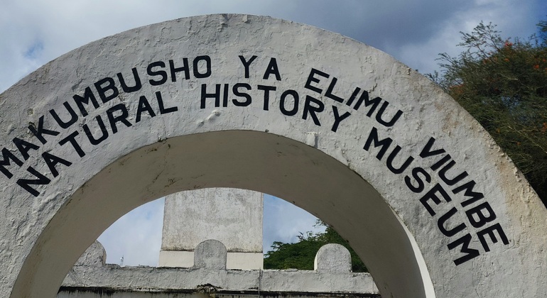 Arusha City Highlights: Markets, Culture & History Walking Tour