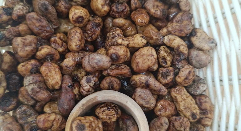 Tour Gastronómico en Valencia España &mdash; #4