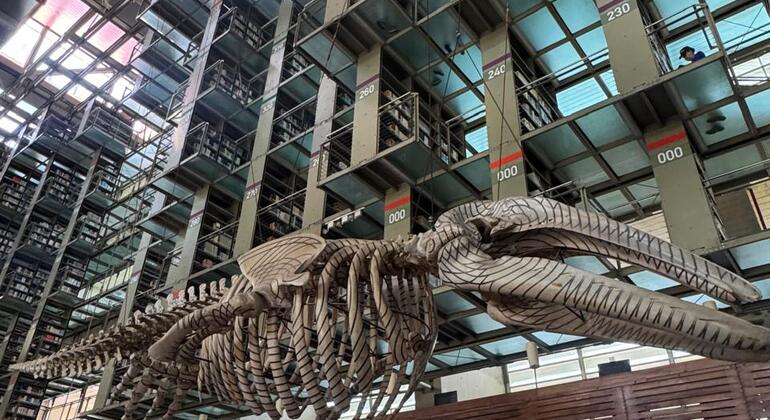 À la découverte de Mexico : visite de la bibliothèque et du monument Vasconcelos