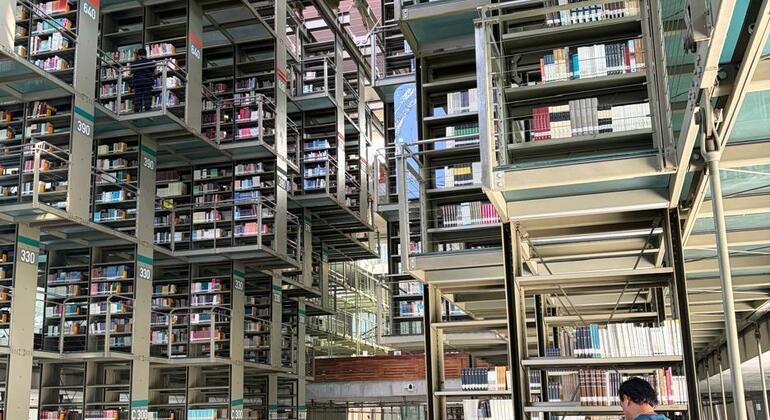 À la découverte de Mexico : visite de la bibliothèque et du monument Vasconcelos Mexique &mdash; #3