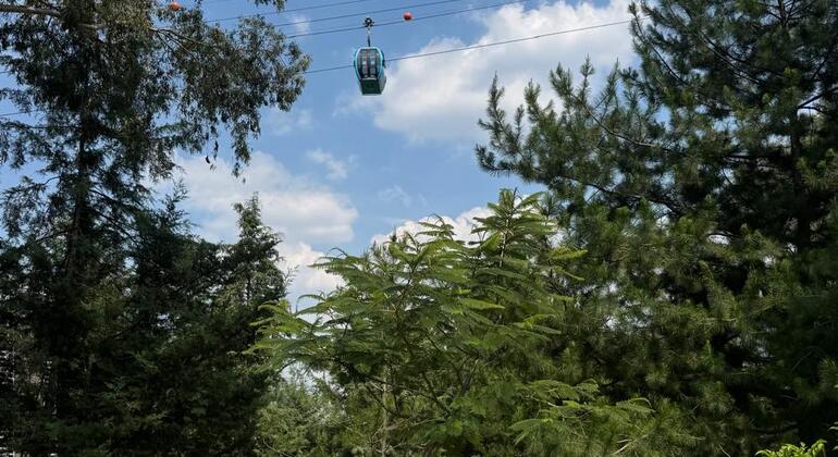 Visite guidée gratuite « Skyview » de Mexico : Cablebús, Chapultepec et Cineteca Mexique &mdash; #3