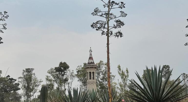 Visite guidée gratuite « Skyview » de Mexico : Cablebús, Chapultepec et Cineteca Mexique &mdash; #11