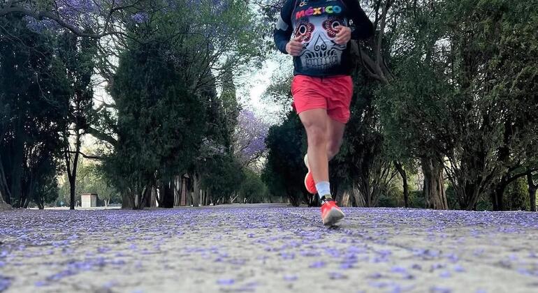 Passeio gratuito de corrida ou caminhada matinal no Parque de Chapultepec e na Reforma México &mdash; #2